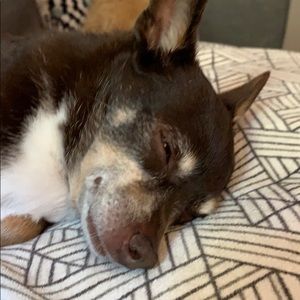 Meet your Posher, Michelle